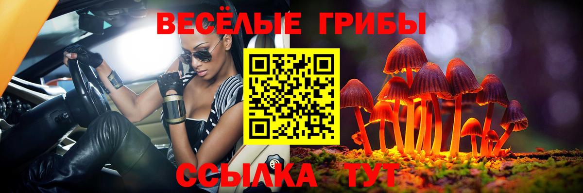 Псилоцибиновые грибы ЛСД  Вход с VPN  Кулебаки 